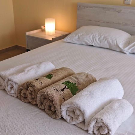 Sithonia Lodge Μεταμόρφωση Εξωτερικό φωτογραφία