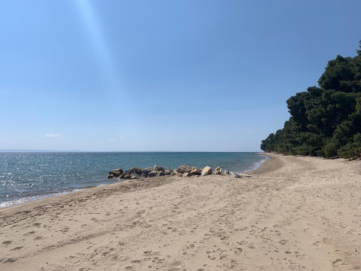 Sithonia Lodge Μεταμόρφωση Εξωτερικό φωτογραφία